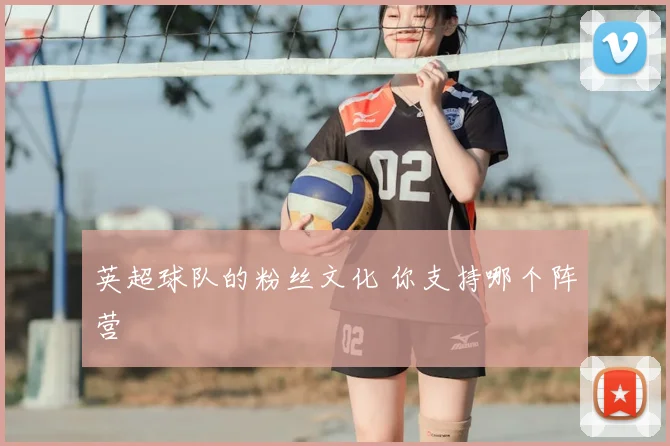 英超球队的粉丝文化 你支持哪个阵营