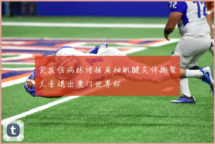 突发伤病林诗栋肩袖肌腱炎伴撕裂无奈退出澳门世界杯
